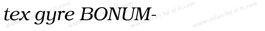 tex gyre BONUM字体转换
